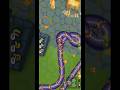 worms zone 🔥 snake game 🎯