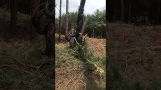 IMG 0021