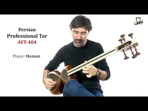 Professional Persian Tar AYT-404