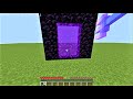 What if you throw a loyalty trident in the NETHER PORTAL?