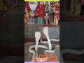 happy nag panchmi #shorts #ytshortsindia #ytshorts #ytshortsvideo #shortsfeed #nagpanchmistatusvideo