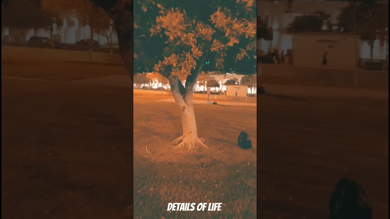 Connection! 1-Sep-25 