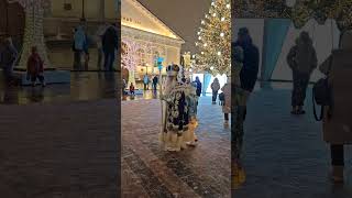 Дед Мороз И Снегурочка.