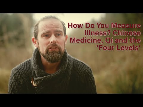 How Do You Measure an Illness? Chinese Medicine and the 'Four Levels'