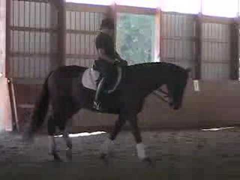 S.4 STEFFEN PETERS AND JANET BROWN-FOY (Overview)