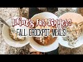WHAT&#39;S FOR DINNER?? // FOUR FALL CROCKPOT RECIPES!
