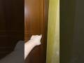 Un signore matto prende a testate la porta e la distrugge! #shorts #minecraft #fortnite #ps5 #short