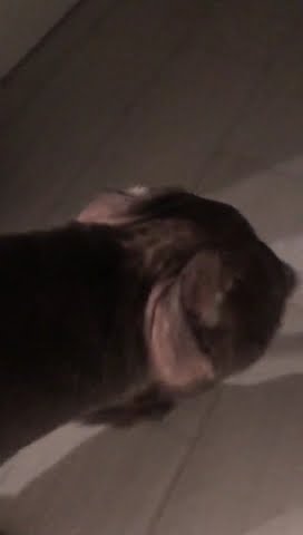 youtube.com