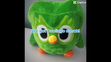 I got Duolingo merch! #doulingo #merch #expensive   #owl #learn #languagelearning #sponsor #edit