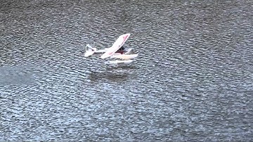 Multiplex FunCub - On Floats