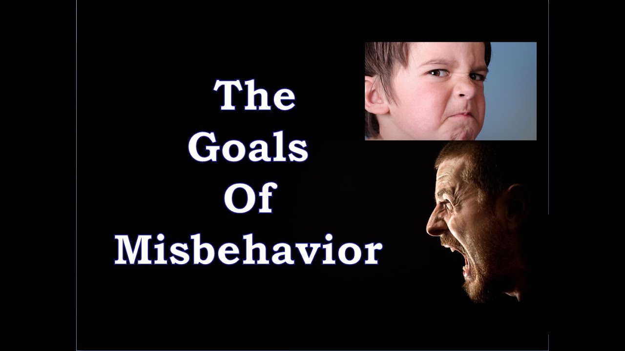 Four Goals Of Misbehavior Chart