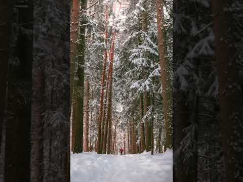 Video: Vilken är den bästa kamerainställningen för snö?