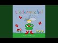 Liedermichel Accords