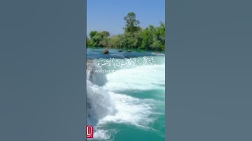 إن هذا القرآن يهدي للتي هي أقوم...#القرآن_الكريم #تلاوة_خاشعة #تلاوات
