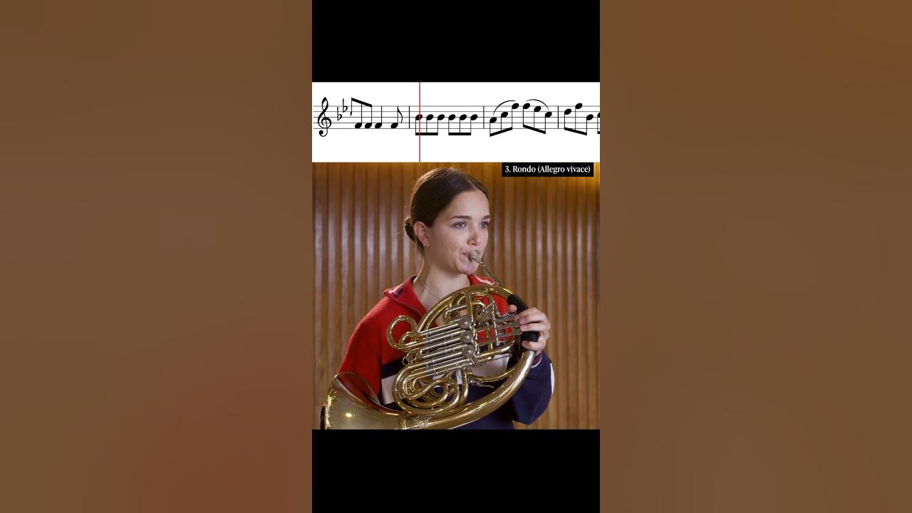 Mozart: Horn Concerto No. 4 – III. Rondo  #classicalmusic #frenchhorn #mozart #horn