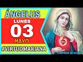 🔴ANGELUS de hoy Lunes 03 de Mayo | Virtud Mariana 🌸