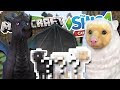 Fluffy Sheep & ENDER DRAGON Babies?! 🐑💕🐉