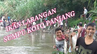 Download Lagu Malapeh Candu Manjalo di Lubuk Larangan Batang Sumpu KOTO PANJANG bawah tahun 2022 MP3