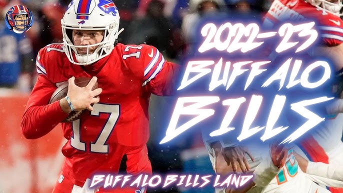 Buffalo Bills Helmet - National Football League (NFL) - Chris