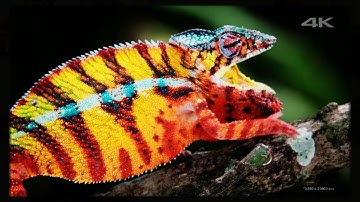 M9S Pro, Android TV Box, Amlogic S912