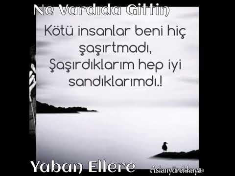Ne Vardıda Gittin