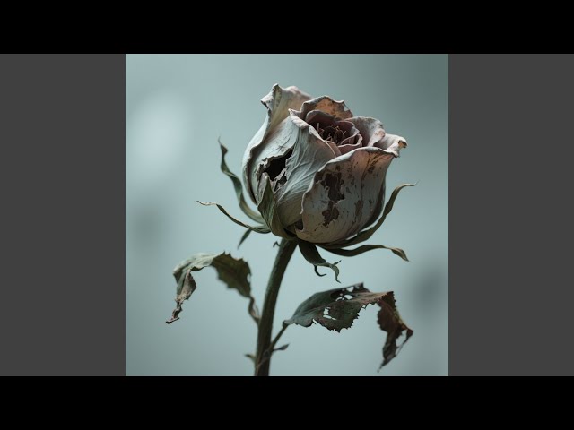 Soft Places One