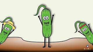 SKACHAT ONLINE rukhanka tanets cucumber dance fzkultkhvilinka 81299