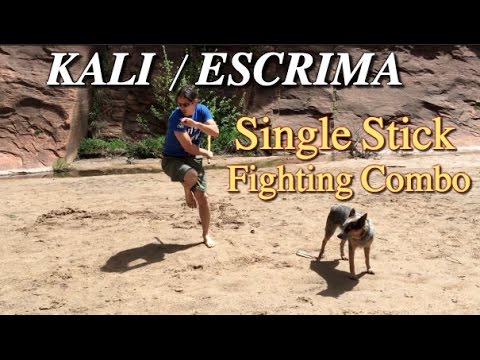 Stick Fighting: Basic Combos Series 