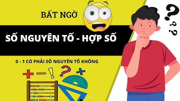 Số Nguyên Tố Là Gì - Hợp Số Là Gì - Đặc Điểm Tính Chất Cần Ghi Nhớ - CHH