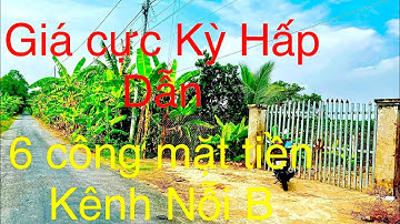 6công mặt tiền lộ nhựa kênh nỗi B Song Bình Chợ Gạo Tiền Giang.Giá cực kỳ hấp dẫn.Mặt tiền được 44m
