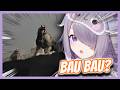 Biboo Saw Wolves and Immediately Said “BAU BAU” 😂
