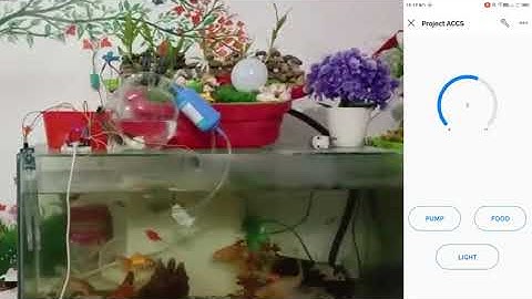 Prototype of our Aqua Harvest System