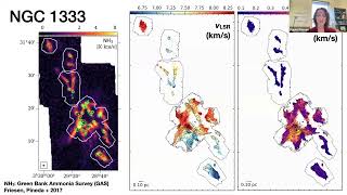 Rachel Friesen (University of Toronto) Dynamics in Star-forming Cores (DiSCo) with Argus on the GBT