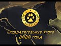 Рейтинг Best Russian Dog 2020. Предварительные итоги года