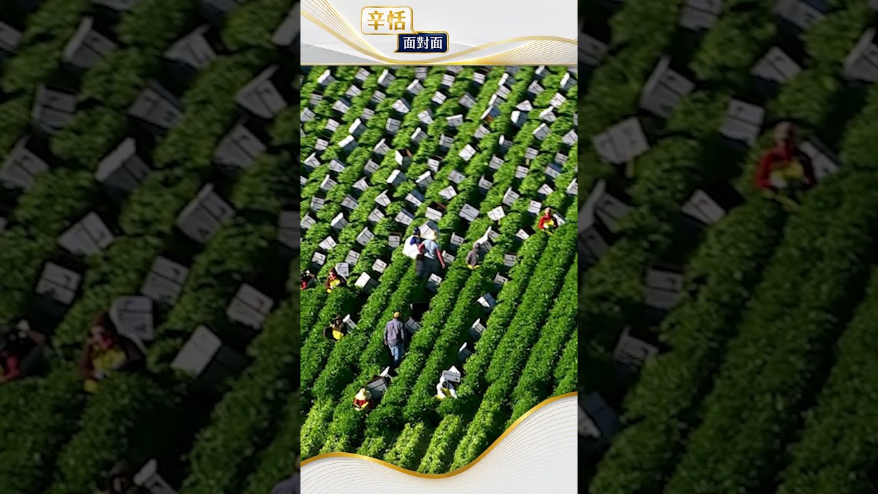Fed主席上任后重要演讲#辛恬面對面