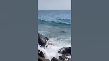نبئ عبادي أني انا الغفور الرحيم تلاوة احمد خضر - سورة الحجر
