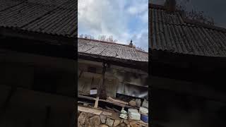 세종시 시골 빈집 #세종시 #연서면 #농가 #빈집