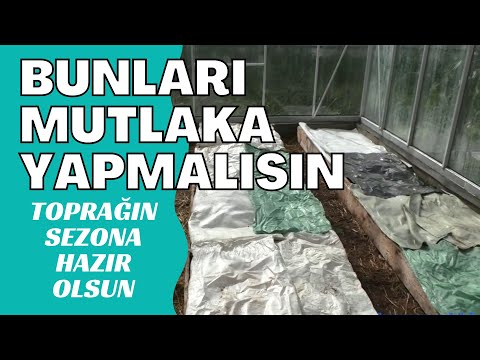 Video: Kompost Bakteriyaları - Kompostda Hansı Bakteriyaların Növü Haqqında Ətraflı Məlumat