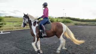 Aniela Newton & Allegro BD Elementary 1 sep24