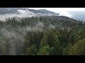 Fog in the mountians
