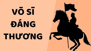 Võ sĩ đáng thương - Tri kỷ cảm xúc Web5ngay