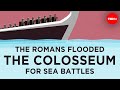 The romans flooded the colosseum for sea battles  janelle peters