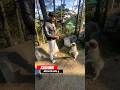 Kashmir mein mila cute dogwatch full vlog in playlistkashmir reels trending.