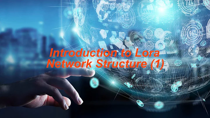 Introduction to Lora Network Structure 1