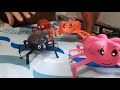 Aranha em fundo de Garrafa Pet (artesanato/Reciclagem)