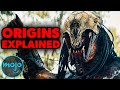 Predator Origins