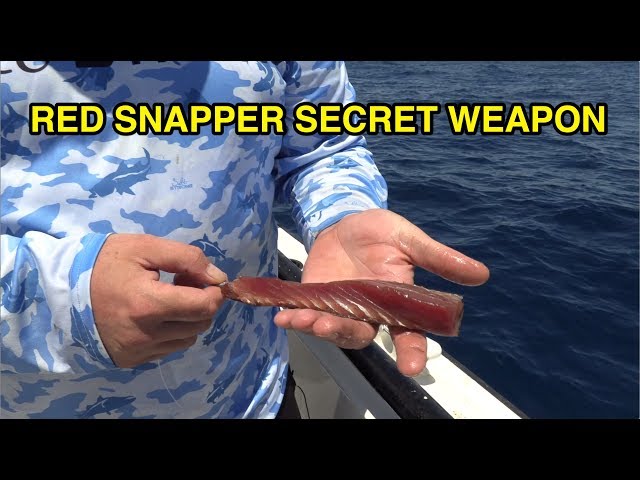 Red Snapper Secret Weapon [BEST BAIT] 