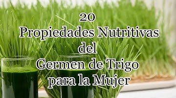 20 Propiedades Nutritivas del Germen de Trigo para la Mujer