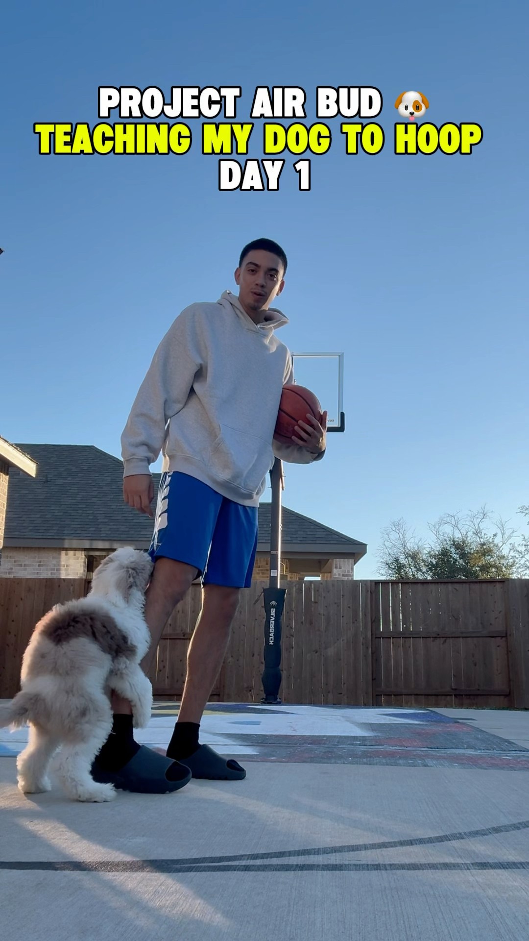 Teaching My Dog To Hoop Went SO WRONG ?