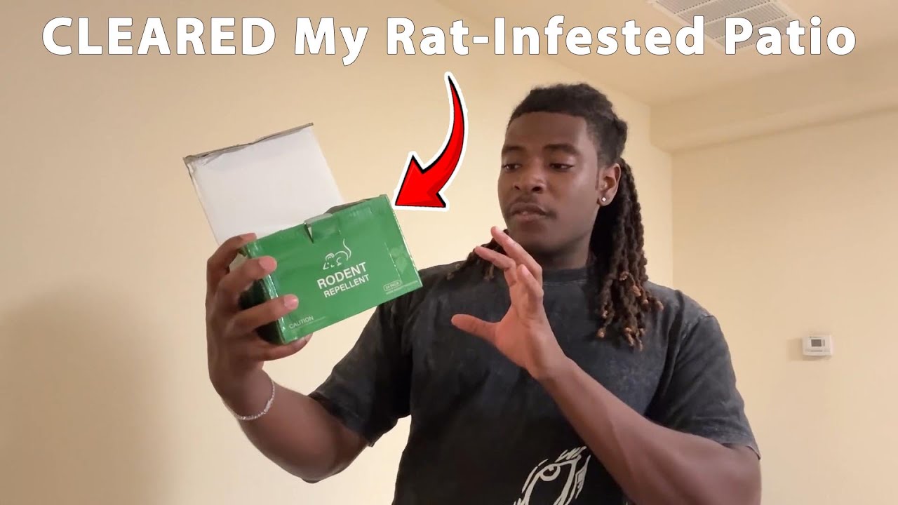 Mouse Rodent Repellent Review